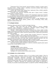 Sociologijos įvadas teorija 4 puslapis