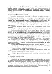 Sociologijos įvadas teorija 6 puslapis