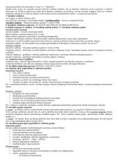 Sociologijos koliokviumas 2 puslapis