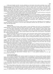 Sociologijos paskaitos - teorija 13 puslapis