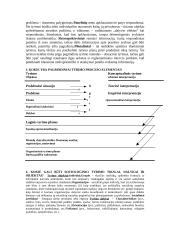 Sociologijos egzaminas teorija 2 puslapis