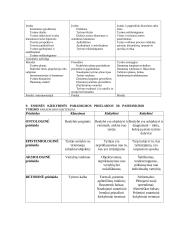 Sociologijos egzaminas teorija 4 puslapis