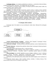 Išsamu apie sociologiją 4 puslapis