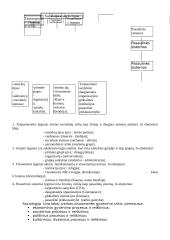 Išsamu apie sociologiją 5 puslapis