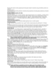 Sociologijos egzaminas 3 puslapis