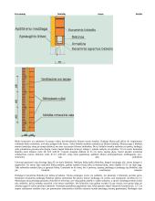 Statybinė keramika 5 puslapis