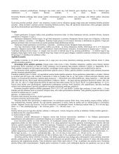 Statybinė keramika 6 puslapis