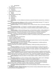 Statistikos teorija 3 puslapis