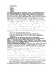 Statistikos teorija 4 puslapis