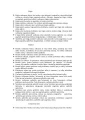 Stereometrija ir aksiomos 4 puslapis