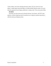 Strateginis planas: alaus darykla "Apynys" 2 puslapis