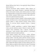 Strateginio valdymo įvadas 17 puslapis