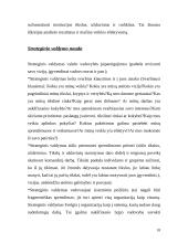 Strateginio valdymo įvadas 18 puslapis