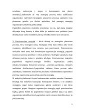 Strateginio valdymo įvadas 6 puslapis