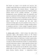 Strateginio valdymo įvadas 10 puslapis