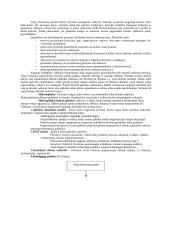 Kompanijos strateginis valdymas 2 puslapis