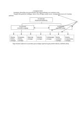 Kompanijos strateginis valdymas 8 puslapis