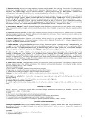 Strategija bei strateginis valdymas 2 puslapis