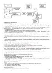 Strategija bei strateginis valdymas 11 puslapis