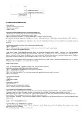 Strategija bei strateginis valdymas 13 puslapis