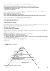 Strategija bei strateginis valdymas 14 puslapis