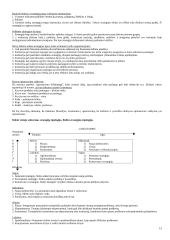 Strategija bei strateginis valdymas 15 puslapis