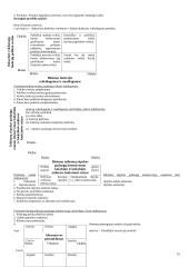 Strategija bei strateginis valdymas 16 puslapis