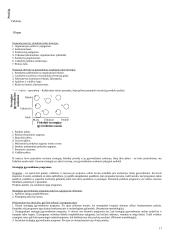 Strategija bei strateginis valdymas 17 puslapis