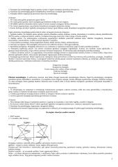 Strategija bei strateginis valdymas 3 puslapis