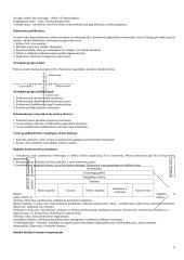 Strategija bei strateginis valdymas 6 puslapis