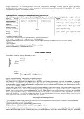 Strategija bei strateginis valdymas 7 puslapis