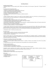 Strategija bei strateginis valdymas 10 puslapis