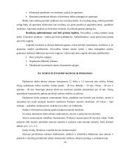 Studentų rašto darbų rengimo reikalavimai 19 puslapis