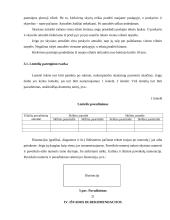 Studentų rašto darbų rengimo reikalavimai 20 puslapis