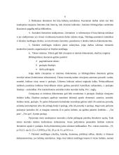 Studentų rašto darbų rengimo reikalavimai 6 puslapis