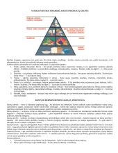 Mitybos svarba 2 puslapis