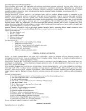 Mitybos svarba 11 puslapis