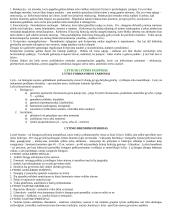 Mitybos svarba 12 puslapis