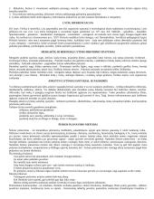 Mitybos svarba 13 puslapis