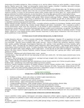 Mitybos svarba 14 puslapis