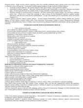 Mitybos svarba 15 puslapis