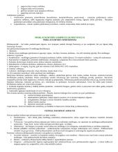 Mitybos svarba 17 puslapis