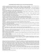 Mitybos svarba 3 puslapis