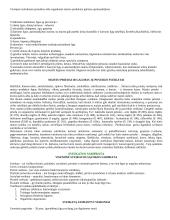 Mitybos svarba 4 puslapis