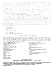 Mitybos svarba 5 puslapis