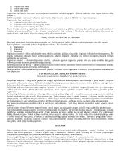 Mitybos svarba 8 puslapis