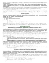 Mitybos svarba 9 puslapis