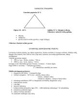 Sveikata bei sveikatos ugdymas 4 puslapis