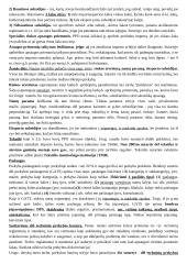 Teorija tarptautinės ekonomikos egzaminui 11 puslapis