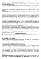 Teorija tarptautinės ekonomikos egzaminui 12 puslapis